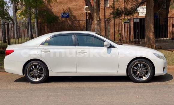 Tenga Tsaru Toyota Mark X Chena Mota in Beitbridge in Matabeleland South Tenga Tsaru Toyota Mark X Chena Mota in Beitbridge in Matabeleland South