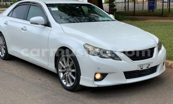 Buy Used Toyota Mark X White Car in Beitbridge in Matabeleland South