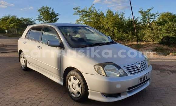 Buy Used Toyota Allex Silver Car in Beitbridge in Matabeleland South