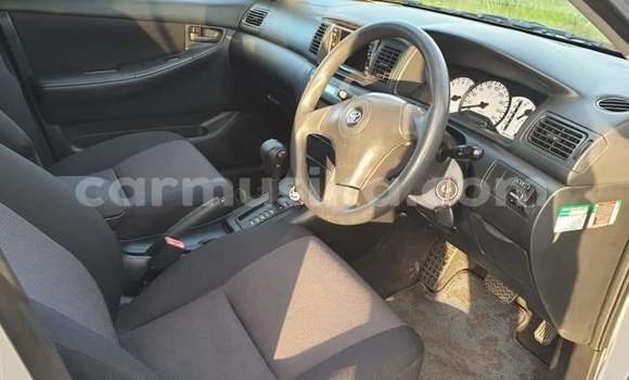 Tenga Tsaru Toyota Allex Sirivha Mota in Beitbridge in Matabeleland South Tenga Tsaru Toyota Allex Sirivha Mota in Beitbridge in Matabeleland South