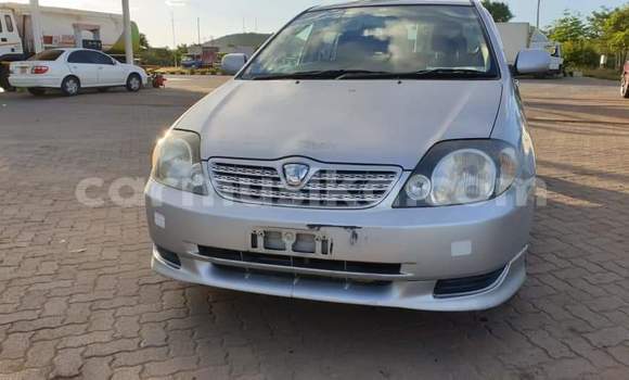 Tenga Tsaru Toyota Allex Sirivha Mota in Beitbridge in Matabeleland South Tenga Tsaru Toyota Allex Sirivha Mota in Beitbridge in Matabeleland South