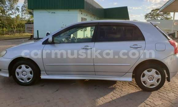 Tenga Tsaru Toyota Allex Sirivha Mota in Beitbridge in Matabeleland South Tenga Tsaru Toyota Allex Sirivha Mota in Beitbridge in Matabeleland South