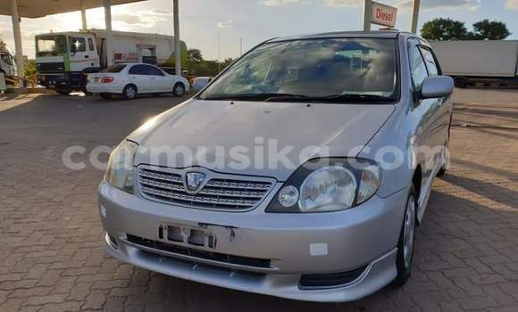 Tenga Tsaru Toyota Allex Sirivha Mota in Beitbridge in Matabeleland South Tenga Tsaru Toyota Allex Sirivha Mota in Beitbridge in Matabeleland South