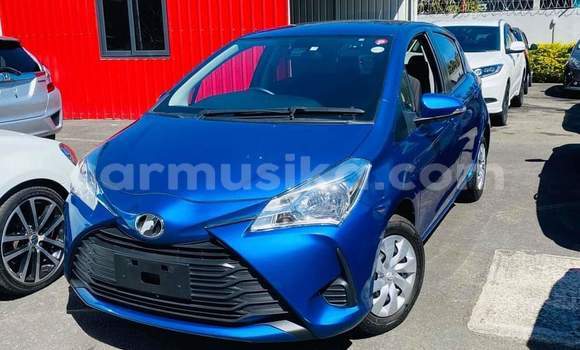 Buy Used Toyota Vitz Blue Car in Beitbridge in Matabeleland South