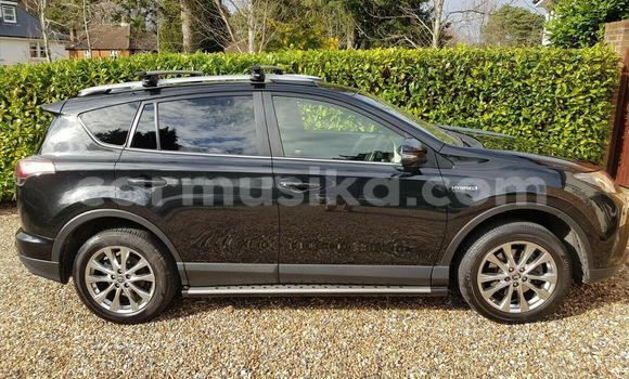 Tenga Tsaru Toyota RAV4 Beige Mota in Harare in Harare Tenga Tsaru Toyota RAV4 Beige Mota in Harare in Harare