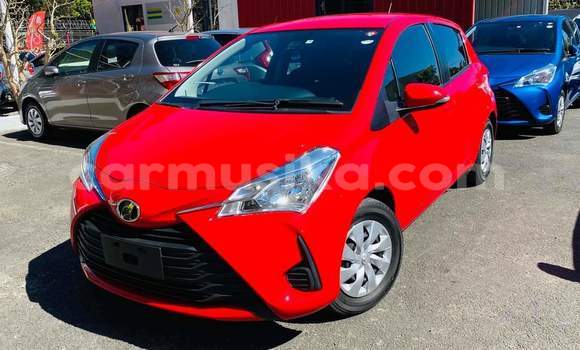 Buy Used Toyota Vitz Red Car in Beitbridge in Matabeleland South