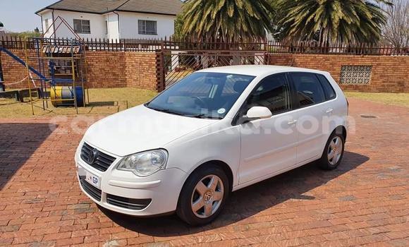 Buy Used Volkswagen Polo White Car in Beitbridge in Matabeleland South Buy Used Volkswagen Polo White Car in Beitbridge in Matabeleland South