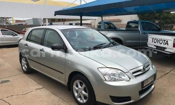 Buy Used Toyota Runx Silver Car in Beitbridge in Matabeleland South Buy Used Toyota Runx Silver Car in Beitbridge in Matabeleland South