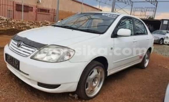 Tenga Tsaru Toyota Corolla Chena Mota in Beitbridge in Matabeleland South Tenga Tsaru Toyota Corolla Chena Mota in Beitbridge in Matabeleland South