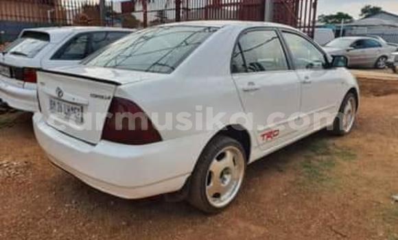 Tenga Tsaru Toyota Corolla Chena Mota in Beitbridge in Matabeleland South Tenga Tsaru Toyota Corolla Chena Mota in Beitbridge in Matabeleland South
