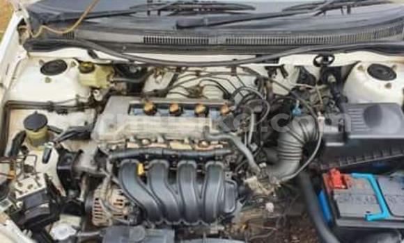 Tenga Tsaru Toyota Corolla Chena Mota in Beitbridge in Matabeleland South Tenga Tsaru Toyota Corolla Chena Mota in Beitbridge in Matabeleland South