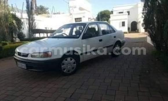 Tenga Tsaru Toyota Corolla Chena Mota in Beitbridge in Matabeleland South Tenga Tsaru Toyota Corolla Chena Mota in Beitbridge in Matabeleland South
