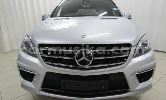 Tenga Tsaru Mercedes‒Benz ML–Class Sirivha Mota in Beitbridge in Matabeleland South Tenga Tsaru Mercedes‒Benz ML–Class Sirivha Mota in Beitbridge in Matabeleland South