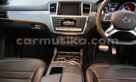 Tenga Tsaru Mercedes‒Benz ML–Class Sirivha Mota in Beitbridge in Matabeleland South Tenga Tsaru Mercedes‒Benz ML–Class Sirivha Mota in Beitbridge in Matabeleland South