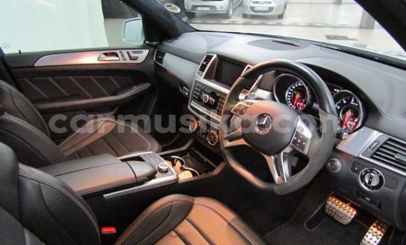 Tenga Tsaru Mercedes‒Benz ML–Class Sirivha Mota in Beitbridge in Matabeleland South Tenga Tsaru Mercedes‒Benz ML–Class Sirivha Mota in Beitbridge in Matabeleland South