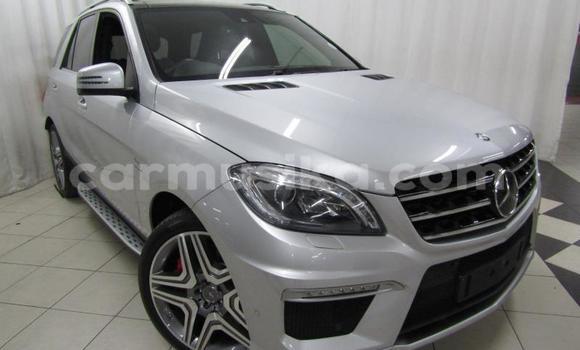 Tenga Tsaru Mercedes‒Benz ML–Class Sirivha Mota in Beitbridge in Matabeleland South Tenga Tsaru Mercedes‒Benz ML–Class Sirivha Mota in Beitbridge in Matabeleland South