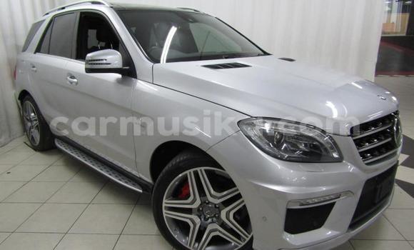 Tenga Tsaru Mercedes‒Benz ML–Class Sirivha Mota in Beitbridge in Matabeleland South Tenga Tsaru Mercedes‒Benz ML–Class Sirivha Mota in Beitbridge in Matabeleland South