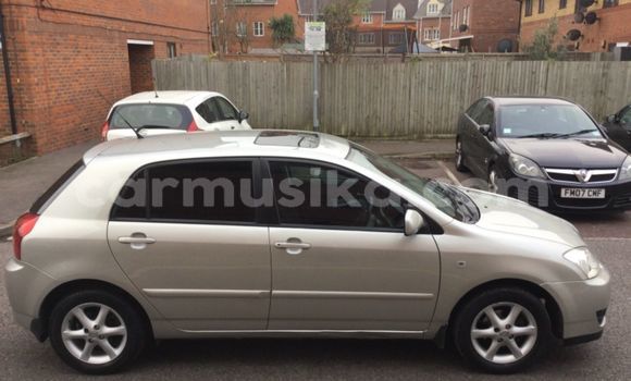 Tenga Tsaru Toyota Runx Beige Mota in Harare in Harare Tenga Tsaru Toyota Runx Beige Mota in Harare in Harare