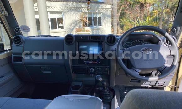 Acheter Occasion Voiture Toyota Land Cruiser Marron à Borrowdale, Harare