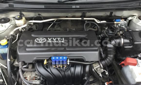 Tenga Tsaru Toyota Runx Beige Mota in Harare in Harare Tenga Tsaru Toyota Runx Beige Mota in Harare in Harare