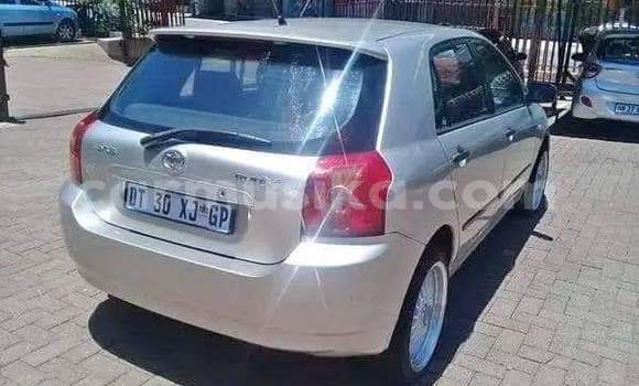 Tenga Tsaru Toyota Runx Sirivha Mota in Beitbridge in Matabeleland South Tenga Tsaru Toyota Runx Sirivha Mota in Beitbridge in Matabeleland South