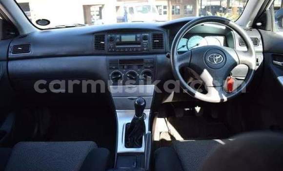 Tenga Tsaru Toyota Runx Sirivha Mota in Beitbridge in Matabeleland South Tenga Tsaru Toyota Runx Sirivha Mota in Beitbridge in Matabeleland South