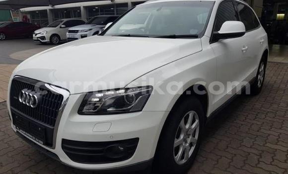 Buy Used Audi Q5 White Car in Borrowdale in Harare Buy Used Audi Q5 White Car in Borrowdale in Harare