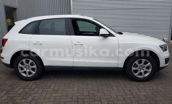 Buy Used Audi Q5 White Car in Borrowdale in Harare Buy Used Audi Q5 White Car in Borrowdale in Harare