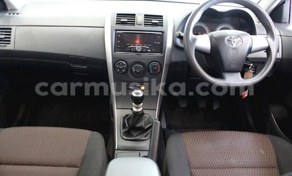 Acheter Occasion Voiture Toyota Corolla Gris à Belvédère, Harare Acheter Occasion Voiture Toyota Corolla Gris à Belvédère, Harare