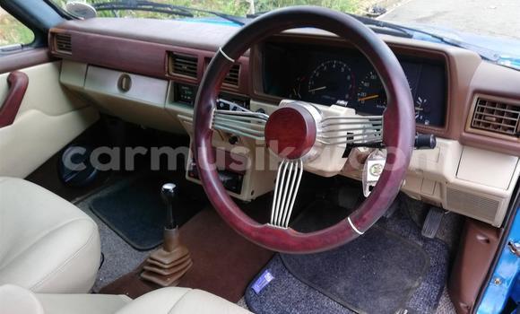 Acheter Occasion Voiture Toyota Hilux Bleu à Beitbridge, Matabeleland South Acheter Occasion Voiture Toyota Hilux Bleu à Beitbridge, Matabeleland South