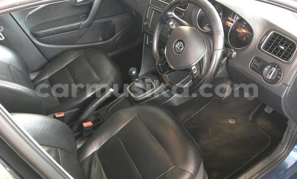 Buy Used Volkswagen Polo Blue Car in Beitbridge in Matabeleland South Buy Used Volkswagen Polo Blue Car in Beitbridge in Matabeleland South