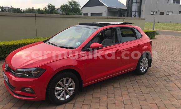 Buy Used Volkswagen Polo Red Car in Beitbridge in Matabeleland South