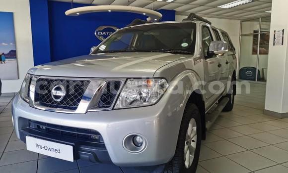 Tenga Tsaru Nissan Navara Zvimwe Mota in Beitbridge in Matabeleland South