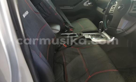 Buy Used Nissan Navara Other Car in Beitbridge in Matabeleland South Buy Used Nissan Navara Other Car in Beitbridge in Matabeleland South