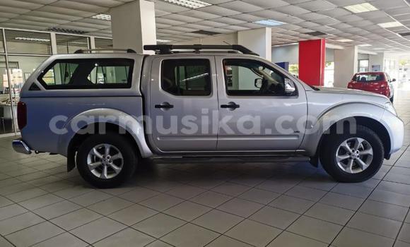 Buy Used Nissan Navara Other Car in Beitbridge in Matabeleland South Buy Used Nissan Navara Other Car in Beitbridge in Matabeleland South