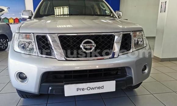 Buy Used Nissan Navara Other Car in Beitbridge in Matabeleland South Buy Used Nissan Navara Other Car in Beitbridge in Matabeleland South