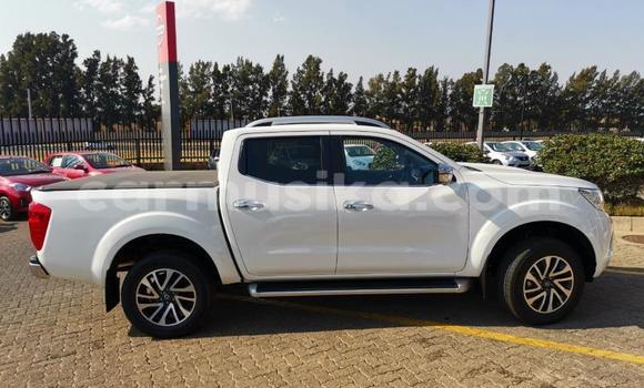 Acheter Occasion Voiture Nissan Navara Autre à Beitbridge, Matabeleland South Acheter Occasion Voiture Nissan Navara Autre à Beitbridge, Matabeleland South