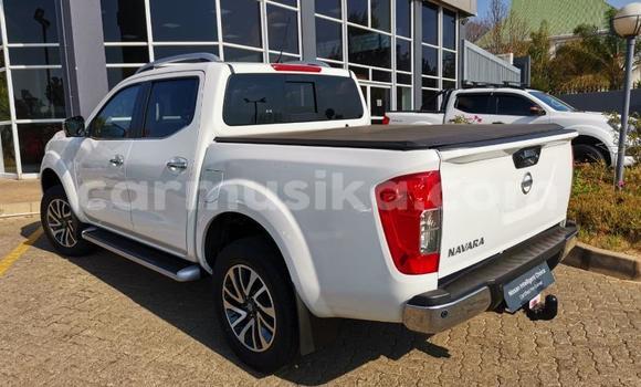 Acheter Occasion Voiture Nissan Navara Autre à Beitbridge, Matabeleland South Acheter Occasion Voiture Nissan Navara Autre à Beitbridge, Matabeleland South