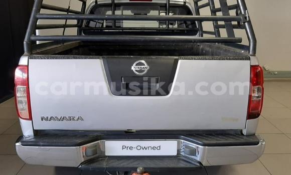 Buy Used Nissan Navara Silver Car in Beitbridge in Matabeleland South Buy Used Nissan Navara Silver Car in Beitbridge in Matabeleland South