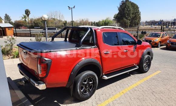 Buy Used Nissan Navara Red Car in Beitbridge in Matabeleland South Buy Used Nissan Navara Red Car in Beitbridge in Matabeleland South