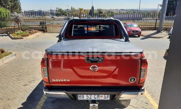 Buy Used Nissan Navara Red Car in Beitbridge in Matabeleland South Buy Used Nissan Navara Red Car in Beitbridge in Matabeleland South