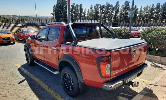 Buy Used Nissan Navara Red Car in Beitbridge in Matabeleland South Buy Used Nissan Navara Red Car in Beitbridge in Matabeleland South