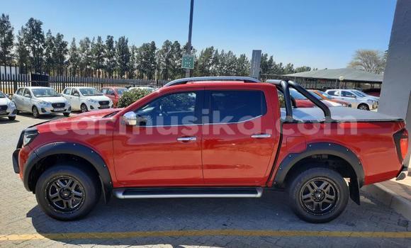 Buy Used Nissan Navara Red Car in Beitbridge in Matabeleland South Buy Used Nissan Navara Red Car in Beitbridge in Matabeleland South