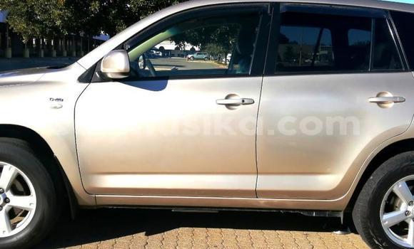 Tenga Tsaru Toyota RAV4 Zvimwe Mota in Borrowdale in Harare Tenga Tsaru Toyota RAV4 Zvimwe Mota in Borrowdale in Harare