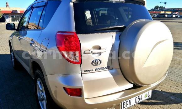 Tenga Tsaru Toyota RAV4 Zvimwe Mota in Borrowdale in Harare Tenga Tsaru Toyota RAV4 Zvimwe Mota in Borrowdale in Harare