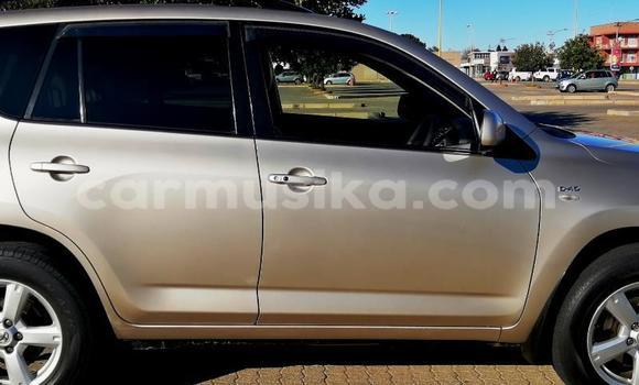 Tenga Tsaru Toyota RAV4 Zvimwe Mota in Borrowdale in Harare Tenga Tsaru Toyota RAV4 Zvimwe Mota in Borrowdale in Harare
