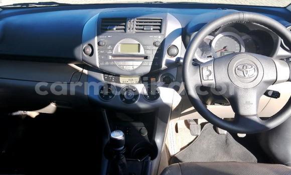 Tenga Tsaru Toyota RAV4 Zvimwe Mota in Borrowdale in Harare Tenga Tsaru Toyota RAV4 Zvimwe Mota in Borrowdale in Harare