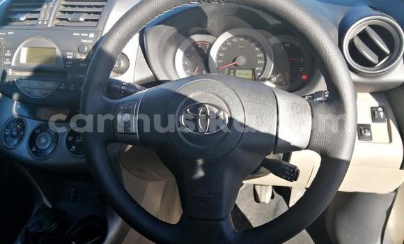 Tenga Tsaru Toyota RAV4 Zvimwe Mota in Borrowdale in Harare Tenga Tsaru Toyota RAV4 Zvimwe Mota in Borrowdale in Harare