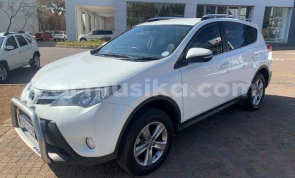 Buy Used Toyota RAV4 White Car in Borrowdale in Harare