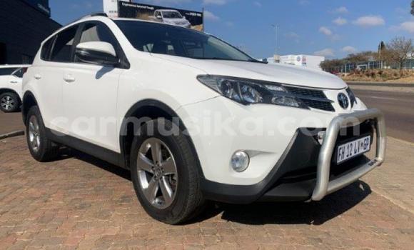 Tenga Tsaru Toyota RAV4 Chena Mota in Borrowdale in Harare Tenga Tsaru Toyota RAV4 Chena Mota in Borrowdale in Harare